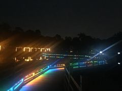 -金山植物公园