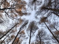 -长春市南湖公园