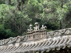 -藏山旅游风景区