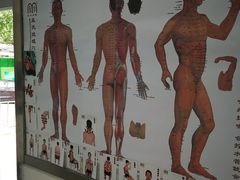 -孟氏拔罐(纬一路店)