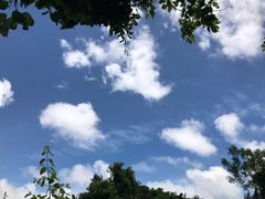 -硇洲岛旅游区