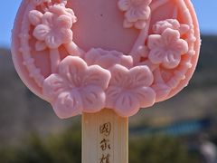 -国家植物园