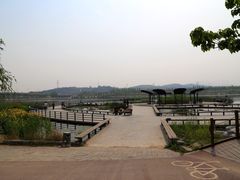 -永定河休闲森林公园