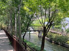 -白洋淀景区
