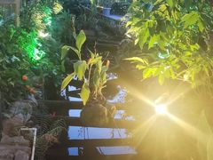 -花溪雨·森林餐厅(石基店)