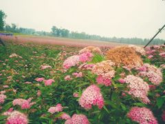 -白鹭湾湿地公园