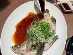 老鼠斑-協成海鮮火鍋(老店)