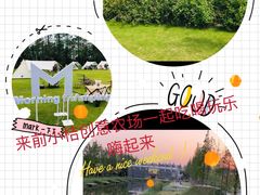 -前小桔亲子创意农场·草莓采摘·露营烧烤