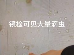 -悦宠动物医院(京丰分院)