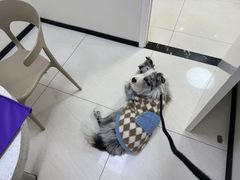-美联众合动物医院·24h京西诊疗中心