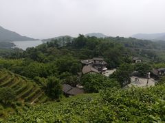 -东部华侨城