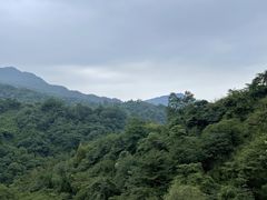 -青城山