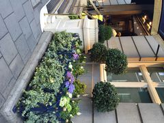 Tea&nbsp;at&nbsp;the&nbsp;Ritz-The Ritz Restaurant