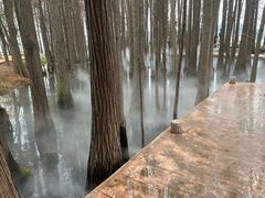 -东湖落雁景区