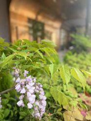 点击看大图 -花隐·美芙炫海菲秀皮肤管理中心