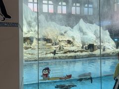 -帝企鹅自助餐厅•儿童岛•真企鹅(长隆企鹅酒店)