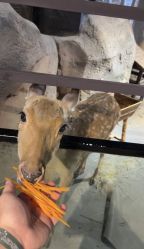 -酷嗒动物文化乐园(cutezoo西溪乐天城店)