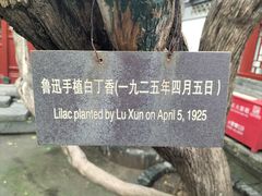 -北京鲁迅博物馆(北京新文化运动纪念馆鲁博馆区)