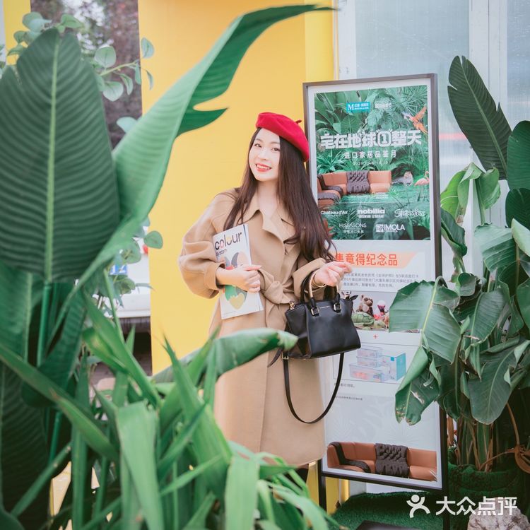 北京快闪店｜动物园竟然开进了红星美凯龙❓