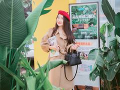 -红星美凯龙北京至尊MALL(东四环中路店)