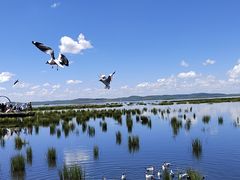 -花湖生态旅游区