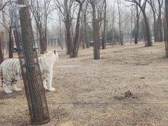 -秦皇岛野生动物园