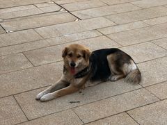 -盘龙城国家考古遗址公园