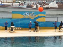 -秦皇岛乐岛海洋王国