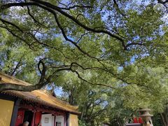 -狼山风景名胜区