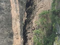 -神农溪纤夫文化旅游区