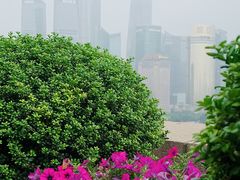 -上海和平饭店华懋阁 Cathay Room