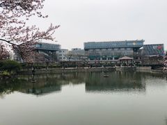 -嘉定紫藤园