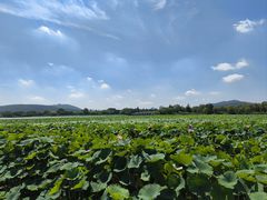-云龙湖旅游景区