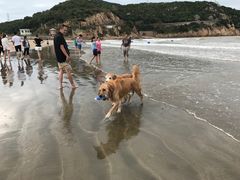 -嵊泗基湖沙滩