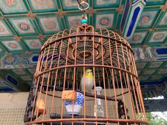 -阅江楼风景区