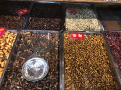 -昆虫窝子·特色云南菜(拓东路总店)