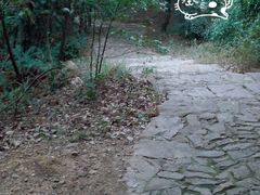 -东山风景区(洞庭东山)