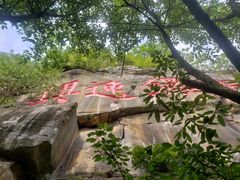 -铁山坪森林公园