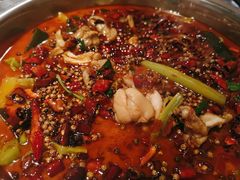 中辣锅-宽口美蛙鱼头(大唐西市店)