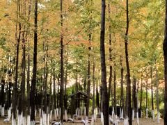 -艾溪湖湿地公园