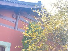 -钱王祠