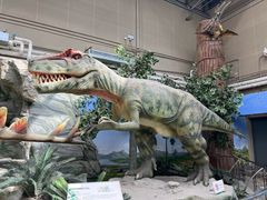 -国家自然博物馆