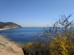-棒棰岛宾馆景区