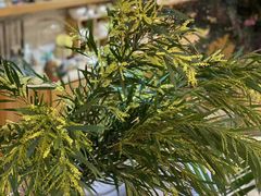 -今日陶艺(富力广场店)