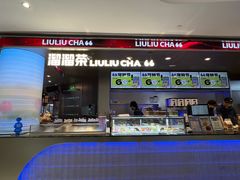 -TD66高山铁皮石斛养生茶饮