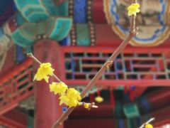 -月坛公园