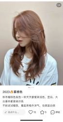 -GT潮朴美业