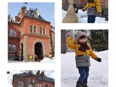 旧道厅-北海道厅旧本厅舍(旧本庁舎)