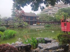 -顺峰山公园