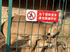 -保定市动物园